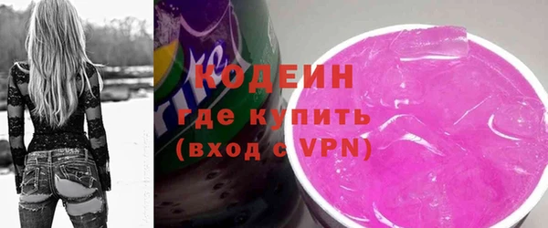 хмурый Магас
