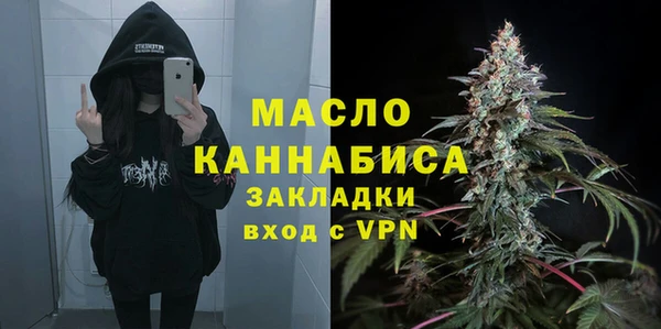 мяу мяу мука Дмитриев