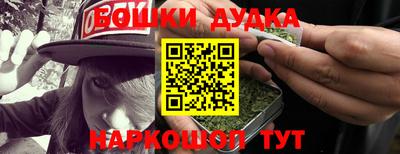 индика Будённовск