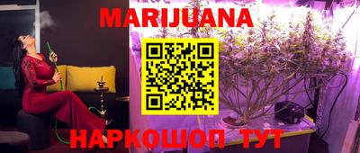 индика Будённовск