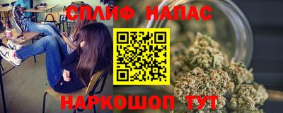 стаф Бузулук