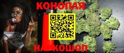 стаф Бузулук