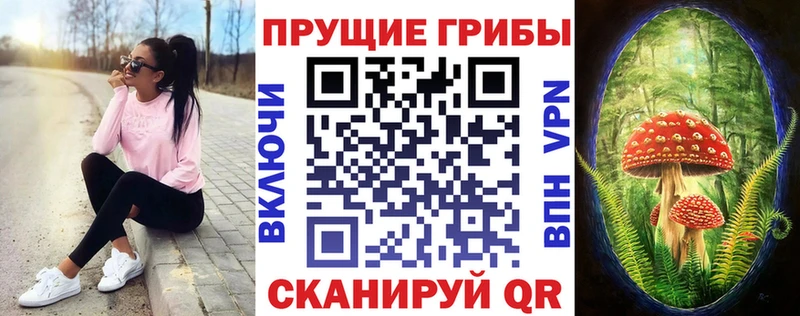 Галлюциногенные грибы Cubensis  MEGA маркетплейс  Добрянка 