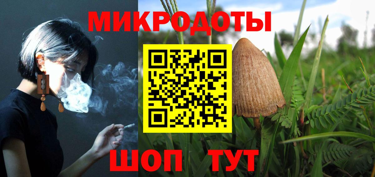 Псилоцибиновые грибы Psilocybe  Добрянка  Галлюциногенные грибы Psilocybine cubensis 