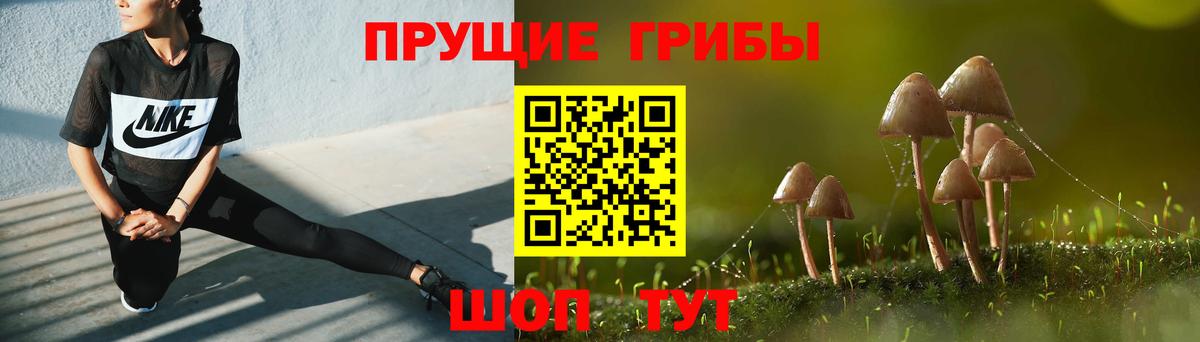 Галлюциногенные грибы ЛСД Добрянка